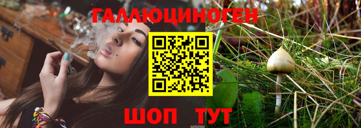 Нерюнгри  Галлюциногенные грибы Magic Shrooms  Вход с VPN 
